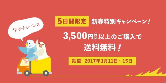 新春特別キャンペーン 3,000円以上のご購入で送料無料!