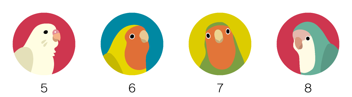 マグネットデザイン 鳥の種類インコ