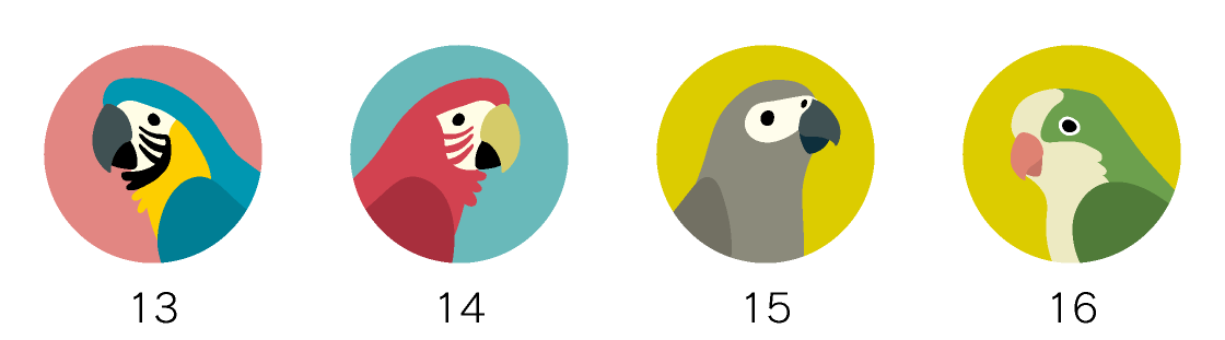 マグネットデザイン 鳥の種類インコ