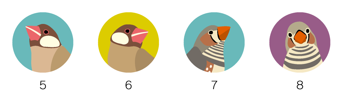 マグネットデザイン 鳥の種類フィンチ